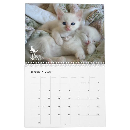 Ragdoll Kätzchen Vol. Ein Kalender (Jan 2027)