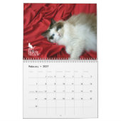 Ragdoll Kätzchen Vol. Ein Kalender (Feb 2027)