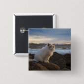 Ragdoll Katze am Strand Button (Vorne & Hinten)
