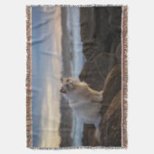 Ragdoll Katze am Strand Decke (Vorderseite Vertikal)