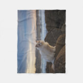 Ragdoll Katze am Strand Fleecedecke (Vorderseite)