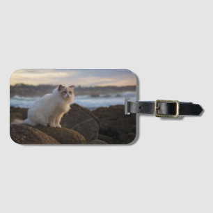 Ragdoll Katze am Strand Gepäckanhänger
