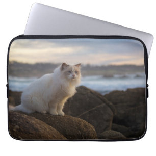 Ragdoll Katze am Strand Laptopschutzhülle