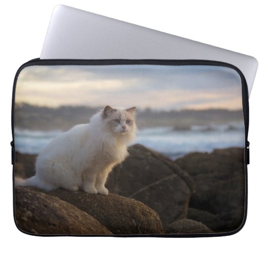 Ragdoll Katze am Strand Laptopschutzhülle (Vorderseite)