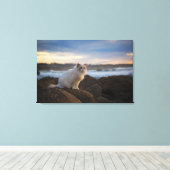 Ragdoll Katze am Strand Leinwanddruck (Insitu (Holzboden))