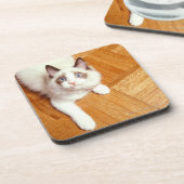 Ragdoll Katze auf Boden, erhöhte Ansicht Getränkeuntersetzer (Linke Seite)