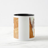 Ragdoll Katze auf Boden, erhöhte Ansicht Tasse (Zentrum)