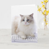 Ragdoll Katze auf Computertastatur Karte (Gelbe Blume)