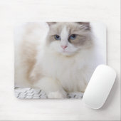 Ragdoll-Katze auf Computertastatur Mousepad (Mit Mouse)