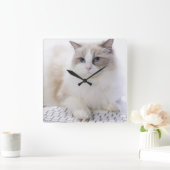 Ragdoll-Katze auf Computertastatur Quadratische Wanduhr (Zuhause)