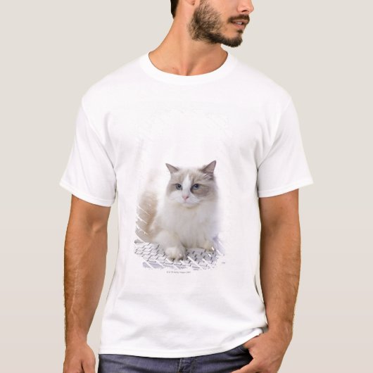 Ragdoll Katze auf Computertastatur T-Shirt (Vorderseite)