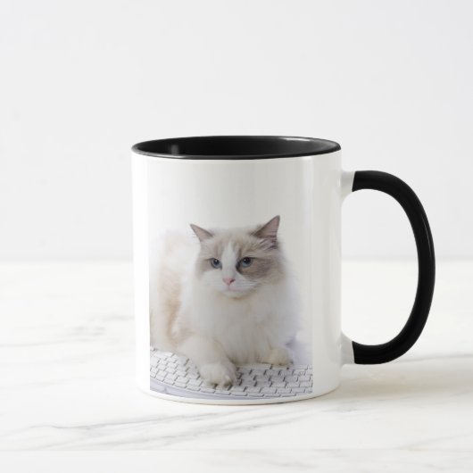 Ragdoll Katze auf Computertastatur Tasse (Rechts)