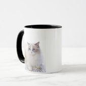 Ragdoll Katze auf Computertastatur Tasse (Vorderseite Links)