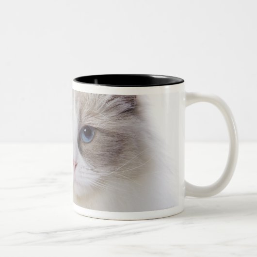 Ragdoll Katze auf Computertastatur Zweifarbige Tasse (Rechts)