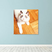 Ragdoll Katze auf dem Boden, erhöhte Sicht Leinwanddruck (Insitu (Holzboden))