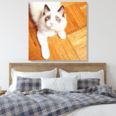 Ragdoll Katze auf dem Boden, erhöhte Sicht Leinwanddruck (Insitu (Schlafzimmer))