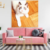 Ragdoll Katze auf dem Boden, erhöhte Sicht Leinwanddruck (Insitu (Wohnzimmer))