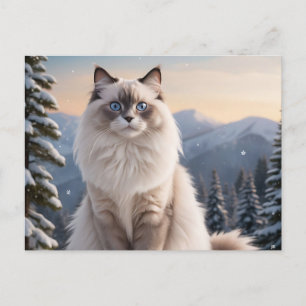 Ragdoll Katze auf dem Snowy Mountain mit Serene Wi Postkarte