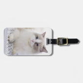 Ragdoll Katze auf Tastatur Gepäckanhänger (Vorderseite horizontal)