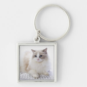 Ragdoll Katze auf Tastatur Schlüsselanhänger