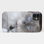 Ragdoll-Katze Case-Mate iPhone Hülle (Rückseite (Horizontal))