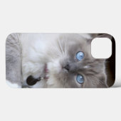 Ragdoll-Katze Case-Mate iPhone Hülle (Rückseite (Horizontal))