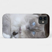 Ragdoll-Katze Case-Mate iPhone Hülle (Rückseite (Horizontal))