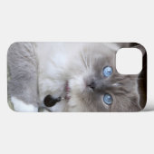 Ragdoll-Katze Case-Mate iPhone Hülle (Rückseite (Horizontal))