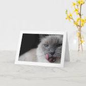Ragdoll Katze, die Lippen leckt Karte (Gelbe Blume)
