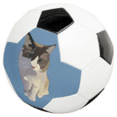 Ragdoll-Katze, Dusty Blue Fußball (Dreiviertel)