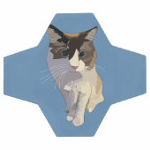 Ragdoll-Katze, Dusty Blue Fußball (Flach)