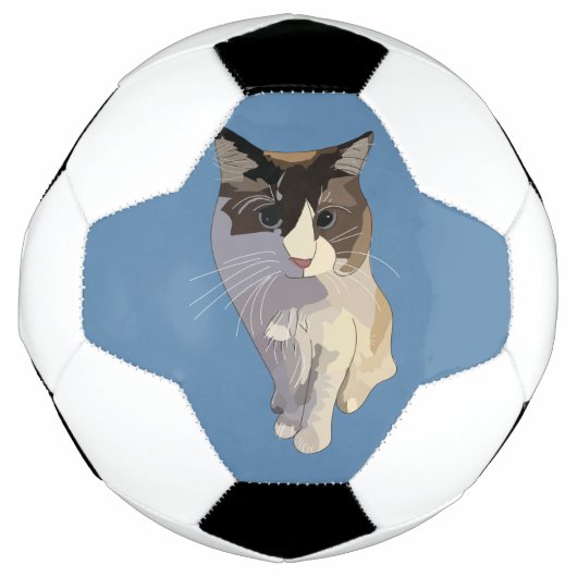 Ragdoll-Katze, Dusty Blue Fußball (Vorderseite)