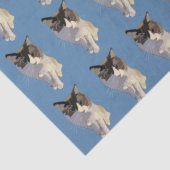 Ragdoll-Katze, Dusty Blue Seidenpapier (Detail)