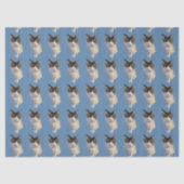 Ragdoll-Katze, Dusty Blue Seidenpapier (Vorderseite)