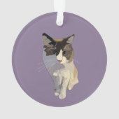 Ragdoll-Katze, Dusty Purple Ornament (Rückseite)