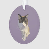 Ragdoll-Katze, Dusty Purple Ornament (Vorderseite)