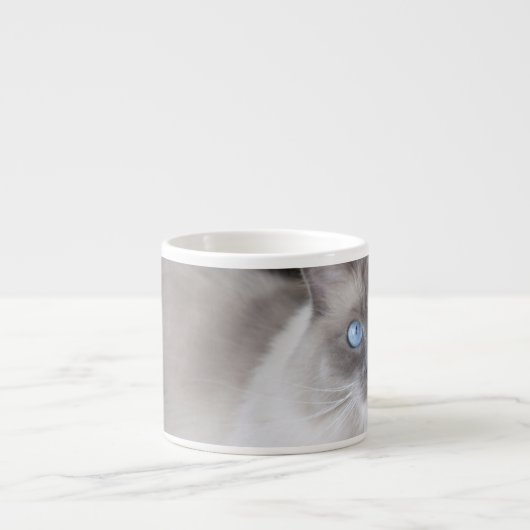 Ragdoll-Katze Espressotasse (Vorderseite)