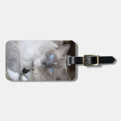 Ragdoll-Katze Gepäckanhänger (Vorderseite horizontal)