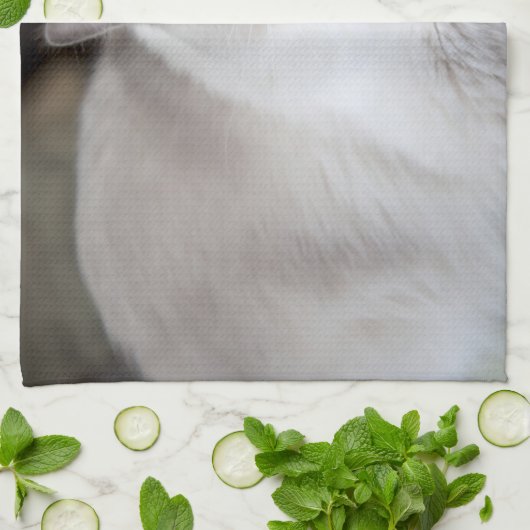 Ragdoll-Katze Geschirrtuch (Gefaltet)