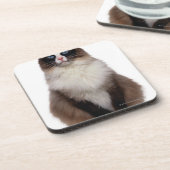 Ragdoll Katze Getränkeuntersetzer (Linke Seite)