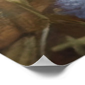 Ragdoll Katze im Garten Fluffy Pet Illustration Poster (Ecke)