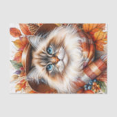 Ragdoll Katze im Herbst mit Herbstlauben Seidenpapier (Vorderseite)