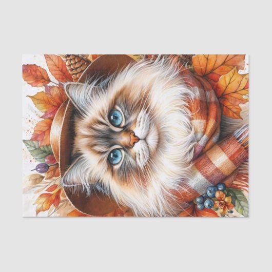 Ragdoll Katze im Herbst mit Herbstlauben Seidenpapier (Vorderseite)