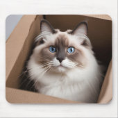 Ragdoll Katze in Faltschachtel Mousepad (Vorne)