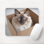Ragdoll Katze in Faltschachtel Mousepad (Mit Mouse)