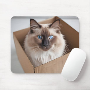 Ragdoll Katze in Faltschachtel Mousepad