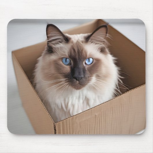 Ragdoll Katze in Faltschachtel Mousepad (Vorne)