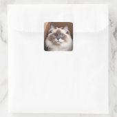 Ragdoll Katze in Faltschachtel Quadratischer Aufkleber (Tasche)