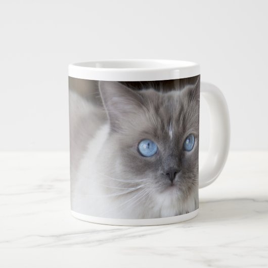 Ragdoll-Katze Jumbo-Tasse (Vorderseite Rechts)