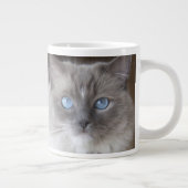 Ragdoll-Katze Jumbo-Tasse (Rechts)